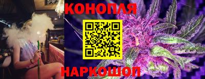a pvp Краснодар