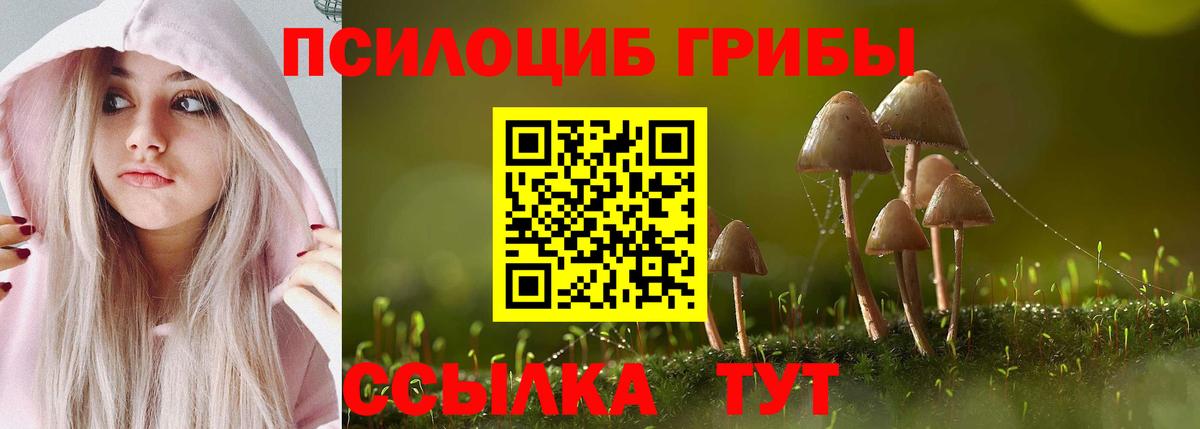 Хасавюрт  Галлюциногенные грибы Magic Shrooms  Вход с VPN  Галлюциногенные грибы MAGIC MUSHROOMS 