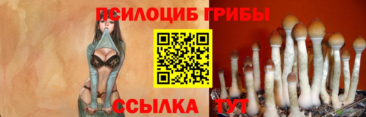 Псилоцибиновые грибы ЛСД Хасавюрт