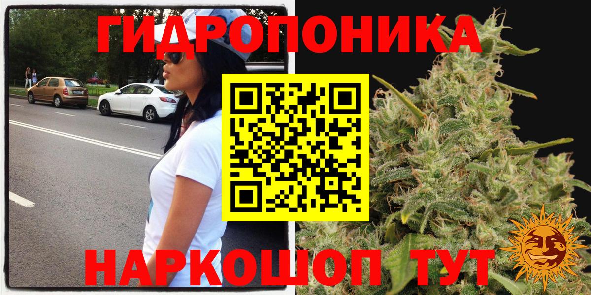 Канабис ГИДРОПОН Хасавюрт